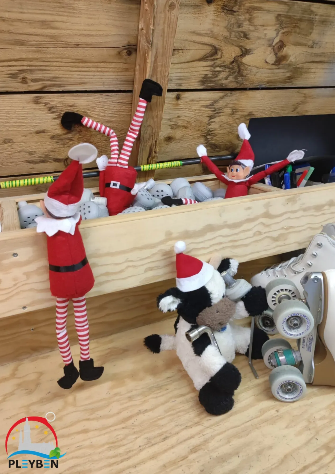 03.12 - roller3.webp