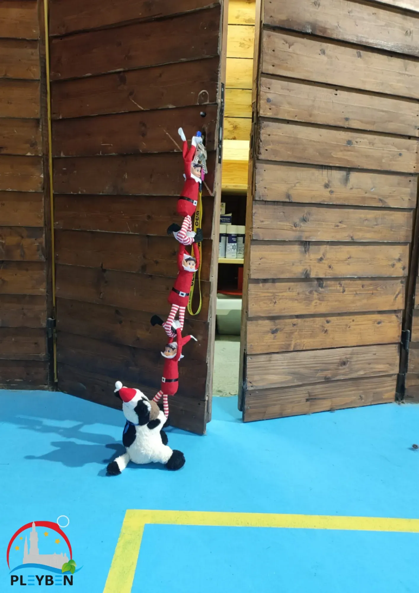 03.12 - roller4.webp