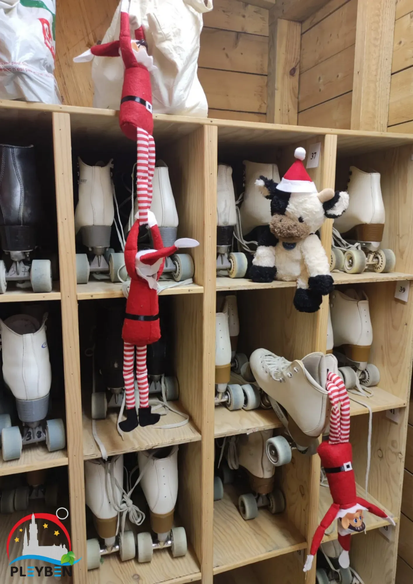 03.12 - roller 2.webp