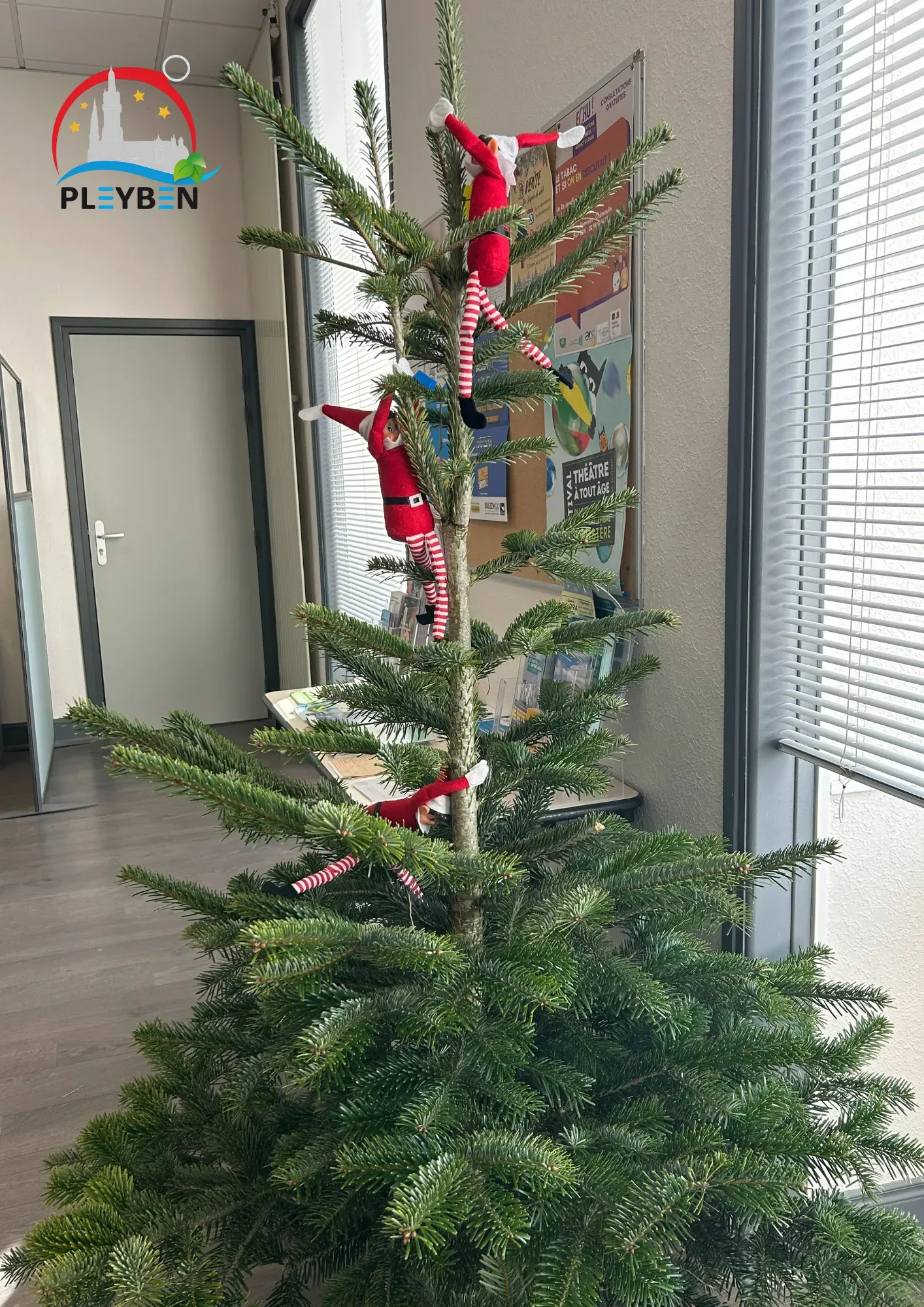 30.11 - sapin mairie2.webp