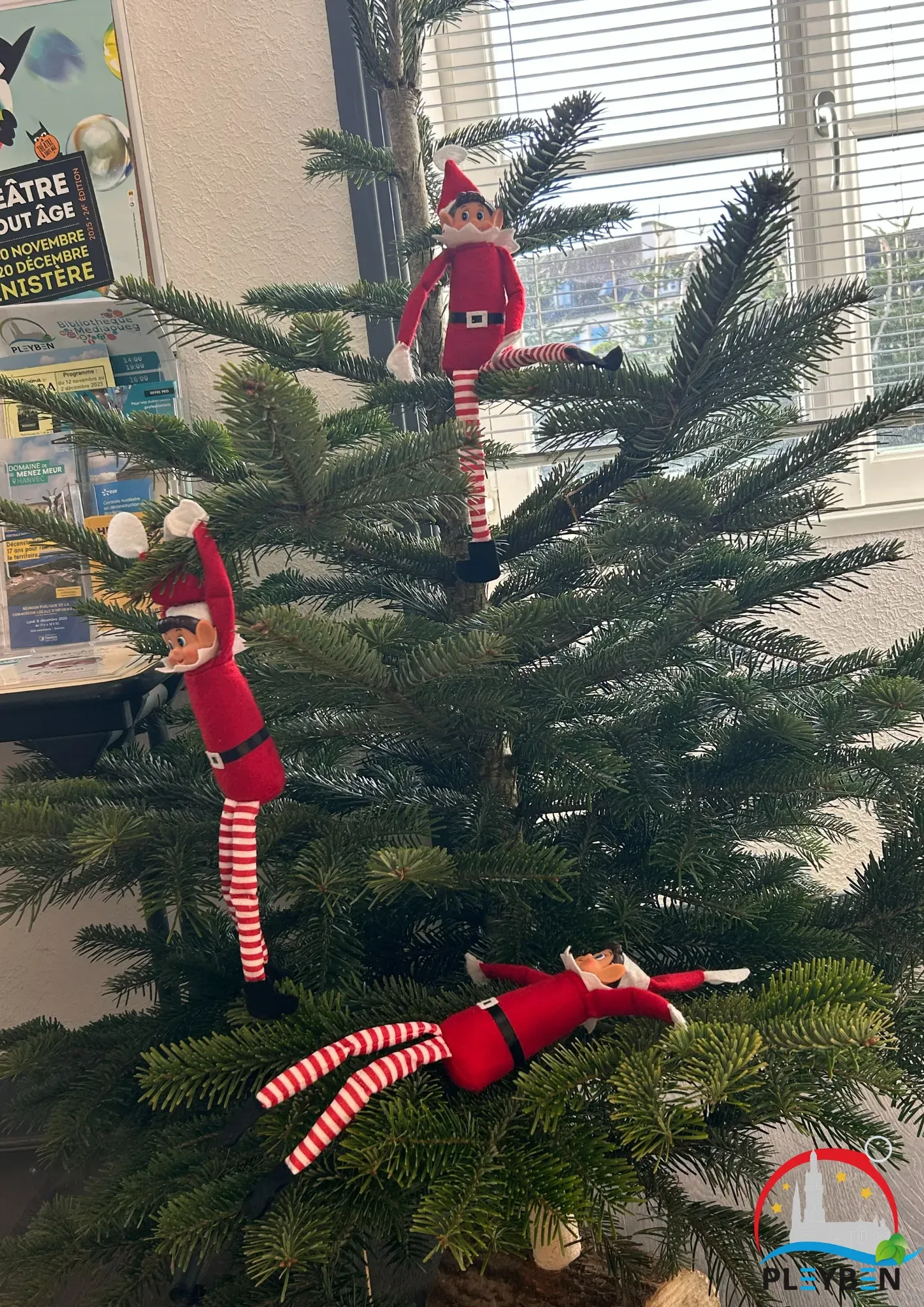 30.11 - sapin mairie4.webp