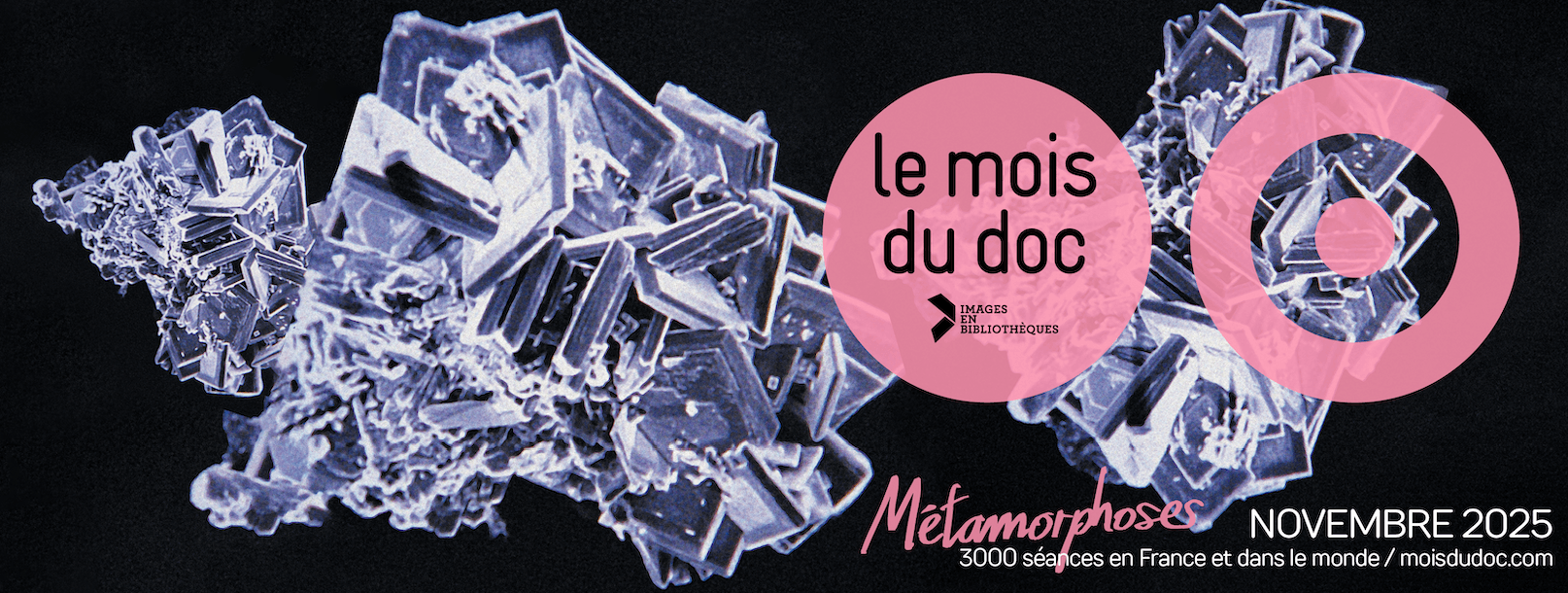 Visuel mois du doc 2025.png
